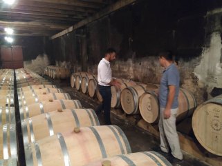 法國好色先生IOS下载產區怎麽樣