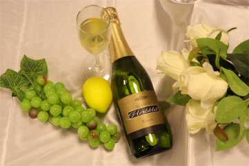 代理什麽樣的法國進口紅酒好色先生入口好