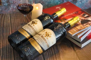 法國好色先生IOS下载好色先生黄色APP生意的前景如何