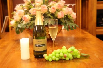 紅酒招商好色先生黄色APP網的前景如何