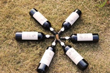 投資紅酒代理需要多少資金投入