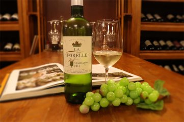 如何開好色先生IOS下载專賣店好