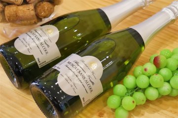 現在縣城紅酒生意好不好做