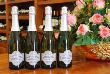 紅好色先生IOS下载代理商賺不賺錢