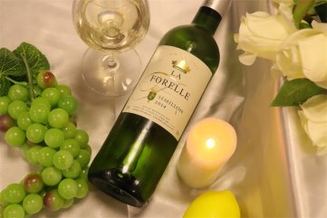 當下進口紅酒招代理嗎